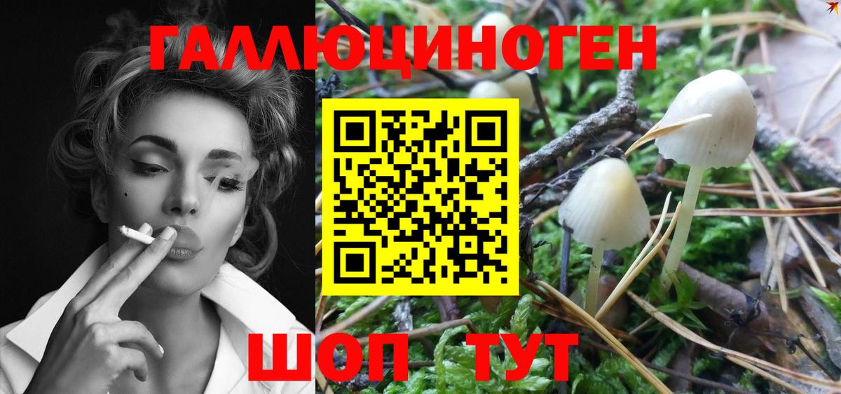 Псилоцибиновые грибы MAGIC MUSHROOMS  Псилоцибиновые грибы мухоморы  Москва  Вход с VPN 